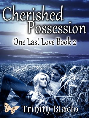 cover image of Cherished Possession